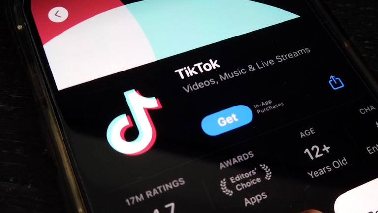 TikTok Legal Battle Against U.S. Ban